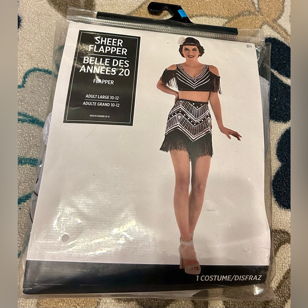 Sheer Flapper Costume